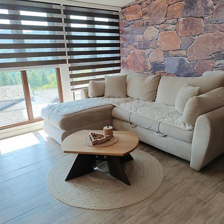 Laki Apartman Zaovine 外观 照片
