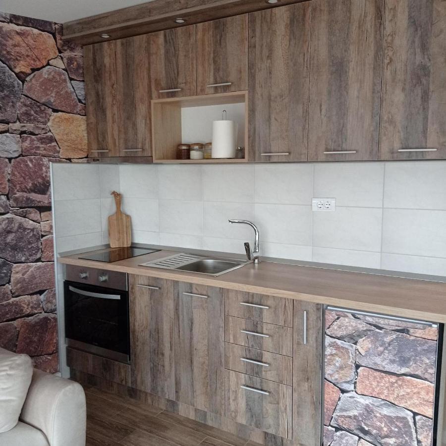 Laki Apartman Zaovine 外观 照片