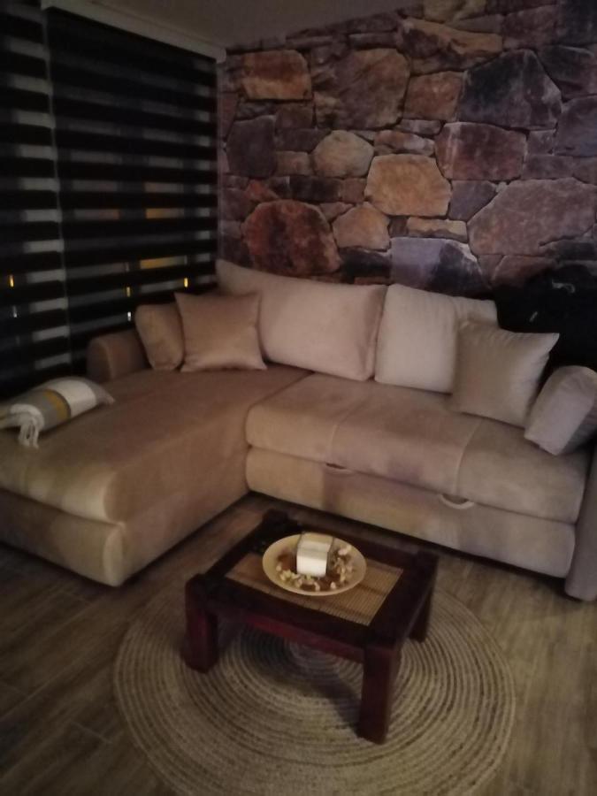 Laki Apartman Zaovine 外观 照片